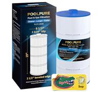 POOLPURE Filtre Spa remplace Sundance 6540-488, PSD125-2000, Unicel C-8326, Filbur FC-2780, Aladdin 22507, Baleen AK-70013, Magnum SU125, Cartouche filtrante de 125 m²