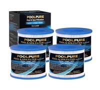 POOLPURE Il doit être utilisé sur un filtre à boue étendu, un filtre à aspirateur rotatif et un filtre hydro i.n.t. dans Aquaparx, Aqua Spa, Costyway