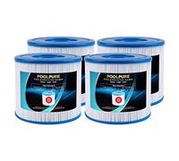 POOLPURE Summer Escapes Lot de 4 filtres de Remplacement pour Piscine et Spa de Type D, Summer Waves P57100102, P57000104