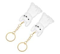 POPETPOP Porte-clés Souvenir pour Animaux de Compagnie 2pcs en Abs, Boîte Capsule Transparente pour Poils de Chien, Design Sécurisé et Pratique pour Maison ou Présent Commémoratif