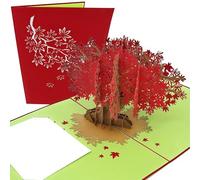 PopLife Cards Automne automne arbre 3d pop up carte de voeux pour toutes les occasions - les voyageurs, les romantiques, les amateurs de tonnelle - plis à plat pour l'envoi - anniversaire, obtention