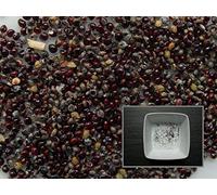 Portal Cool 70 Graines: epazote - Chenopodium Ambroisies - Messico-Tea - Sem03