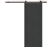 Porte Coulissante Grey OAK H204 x L73 + Rail a roulettes Noir