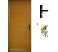 Porte d'entree Bois Pleine, Laura, H215 x L90 p.Gauche Cotes Tableau + Poignee Et Barillet (ref : 010723NO)