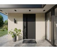 Porte d'entrée en acier pleine et inox H207 x L100 cm - verre fumé - anthracite et noir - épaisseur 68 mm - poussant droit - BRAGA