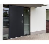 Porte d'entrée en acier pleine H207 x L100 cm anthracite - épaisseur 55 mm - poussant gauche - AGUEDA
