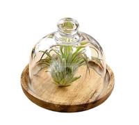 Porte-gâteau | Présentoir à Gâteau avec Plateau et Cloche,Support en Bois | pour Desserts Décoration de Fête Cuisine Pâtisserie Snacks Fruits Cupcakes Anniversaire Mariage
