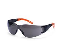 Portwest PR32 Lunettes Enveloppante Pro Fumé