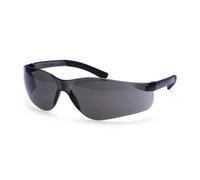Portwest PW38 Lunette Pan View Noir
