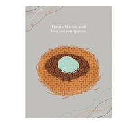 Positively Green Greeting Cards: Baby Shower - The World Waits with Love (Pack of 6)