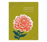 Positively Green Greeting Cards: Congratulations - You have to know how great you (Pack of 6)