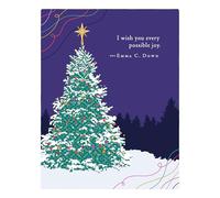 Positively Green Greeting Cards: Holiday - I Wish You Every Possible Joy (Pack of 6)