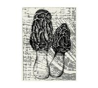 Poster Botanical Mushroom 1 60x80 Cm