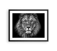 Poster Cadre Noir 50x40 cm Affiche Afrique Noir et Blanc - 4494 - P2B | Portrait Lion ET Poster Mural Moderne Décoratif Art Mural Impression d'Art Salon Chambre Cuisine Tableau Décoration ARTTOR