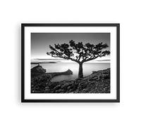 Poster Cadre Noir 50x40 cm Affiche Botanique Noir et Blanc - 4297 - P2B | Arbre ET Noir Poster Mural Moderne Décoratif Art Mural Impression d'Art Salon Chambre Cuisine Tableau Décoration ARTTOR
