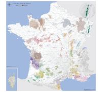 Poster - Carte simplifiée des vins AOC de la France - 100 x 100 cm | Blay Foldex - PVC 3 mm