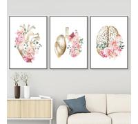 Poster d'anatomie médicale, poster d'anatomie de cœur avec fleurs, images de cœur, poumons, cerveau, décoration de cabinet médical, pour hôpital, clinique, sans cadre (C, 3x20x30cm, Sans cadre)