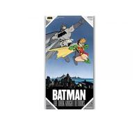 Poster Dc Comics Verre Trempé - Dark Knight Returns Batman & Robin 30x60cm
