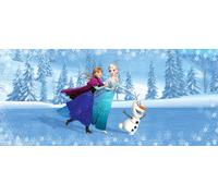 Poster Disney La Reine des neiges Anna & Elsa Bleu - 600886 - 202 x 90 cm