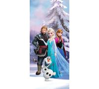 Poster Disney La Reine des neiges Bleu, violet et blanc - 600764 - 90 x 202 cm