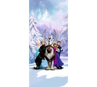 Poster Disney La Reine des neiges Bleu, violet et marron - 600773 - 90 x 202 cm
