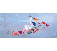Poster Disney La Reine des neiges Bleu, violet et orange - 600904 - 202 x 90 cm