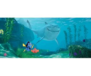 Poster Disney Le Monde de Dory Bleu et vert - 600862 - 202 x 90 cm