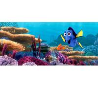 Poster Disney Le Monde de Dory Bleu, violet et orange - 600898 - 202 x 90 cm