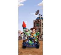 Poster Disney Toy Story Bleu, beige et vert - 600756 - 90 x 202 cm