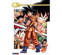 Poster Dragon Ball - Son Goku Story - Anime Manga - Dimensions : 61 x 91,5 cm
