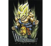 Poster Dragonball Z (56cm x 86,5cm)