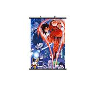 Poster en toile étanche avec cadre en PVC - Dragon Ball (#818),30X40CM G
