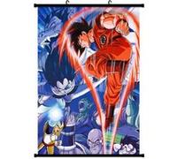 Poster en toile étanche avec cadre en PVC - Dragon Ball (#818),30X40CM G