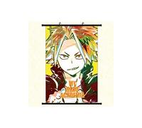 Poster en toile étanche avec cadre en PVC - My Hero Academia (#102),40x60 CM G