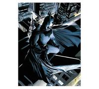 Blue Sky Studios Batman Dc Comics Crystal Poster Bleu Enfants