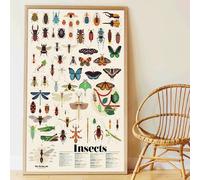 Poster Géant 44 Stickers Insectes Multi-coloured TU