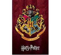 Pyramid International Affiche Harry Potter Blason de Poudlard 61 x 91,5 cm Multicolore