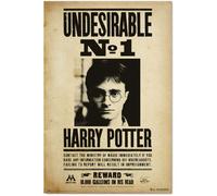 Grupo Erik - Poster Harry Potter Undesirable N1 - Deco Maison, Decoration Murale, Affiche Décorative