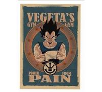 Poster lot of 3 Dragon Ball-42 x 30 cm(style#30) G