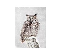 Poster Mural Brun Hibou Blanc Tableau Decoration Murale Affiche Murale Tableau Peinture sur Toile Tableau Decoration Murale Salon Tableaux, Posters et Arts Décoratifs Sans Cadre 30x40cm/1 Pcs