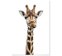 Poster Panorama Girafe 50x70 cm - Imprimée sur Poster - Poster Animaux