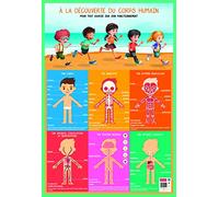 Poster pédagogique Corps Humain BOUCHUT 52 x 76 cm