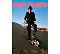 Poster Pink Floyd Wish You Were Here Record Man 91,5 cm x 61 cm G