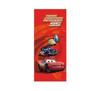 Poster porte Flash 95 Cars Dis