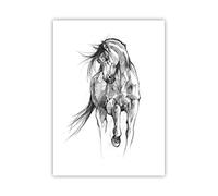 Poster sans Cadre 50x70 cm Affiche Noir et Blanc Animaux - 5080 - P2X | Cheval Animal Galop Poster Mural Moderne Décoratif Art Mural Impression d'Art Salon Chambre Cuisine Tableau Décoration ARTTOR