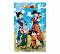 SD TOYS - Poster 3D Battle of Gods Goku Vegeta Family Dragon Ball Super - Dimensions 38 x 58 cm