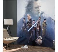 'Komar 031 de dvd2 Star Wars Papier peint photo non tissé de "Star Wars Last Hope, Taille 200 x 250 cm (Largeur x hauteur), 2 Chemins, avec colle, multicolore