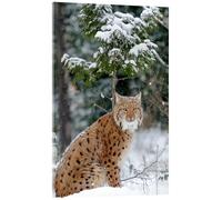 Posterlounge Lynx boréal dans la forêt Tableau en verre acrylique