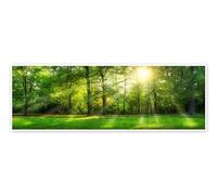 Posterlounge Photo panoramique d'une forêt en été Poster | 90 x 30 cm de Jan Christopher Becke Vert Tableaux Décoration murale