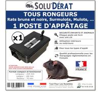 Postes d'appatage sécurisé et Professionnel pour Rats et Autres rongeurs, SOLU'DERAT - Vendu à l'unité
